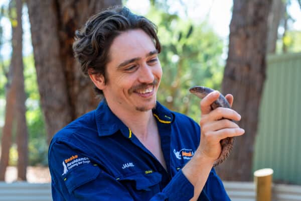 Snake / Fauna Courses & Workshops - Animal Ark