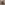 loading...
