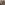 loading...